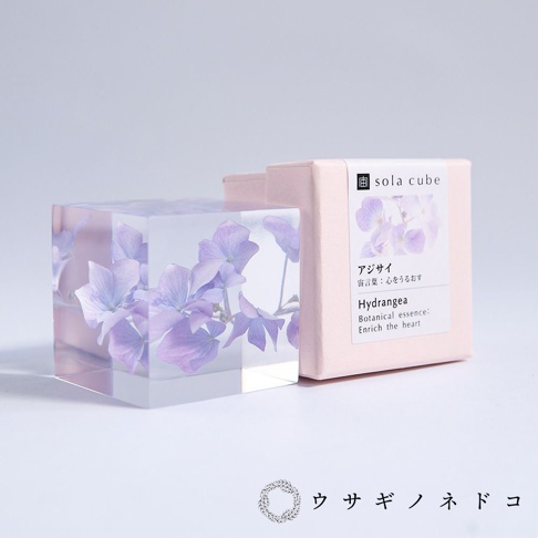Sola cube 繡球花立方塊，透明壓克力材質中封存著淡紫色繡球花，旁邊是同品牌的粉色包裝盒，盒上印有品牌名稱及繡球花圖案。