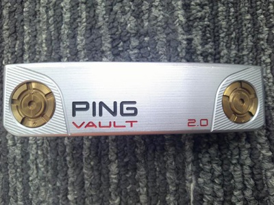 VAULT2.0 DALE ANSER Platinum 推桿 (桿身 特製鋼)