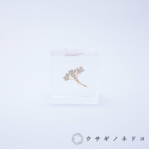 透明立方體中封存著一株細緻的米香花，花朵呈淡白色，莖部為金黃色，整體散發著自然純淨的美感。