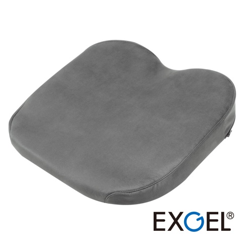 日本 EXGEL 品牌 THE OWL 3D Highest Meister 貓頭鷹系列高階款坐墊，採用深灰色外觀設計，表面呈現皮革質感，整體呈現符合人體工學的曲線造型，右下角印有 EXGEL 品牌標誌。