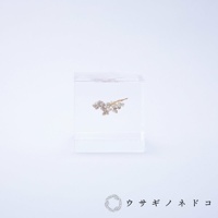 透明壓克力立方體中封存著一小束米白色乾燥花，花朵細緻，枝幹呈現自然彎曲，整體置於白色背景上。