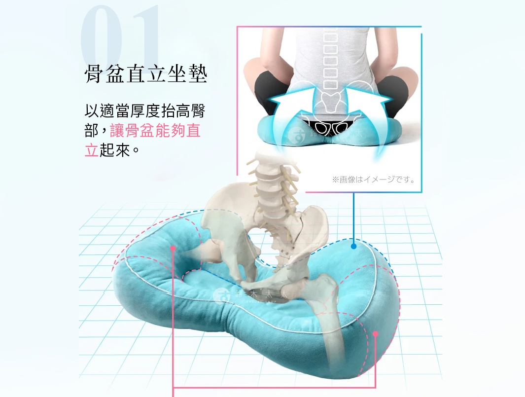 特點 1：骨盆直立坐墊 以適當厚度抬高臀部， 讓骨盆能夠直立起來。