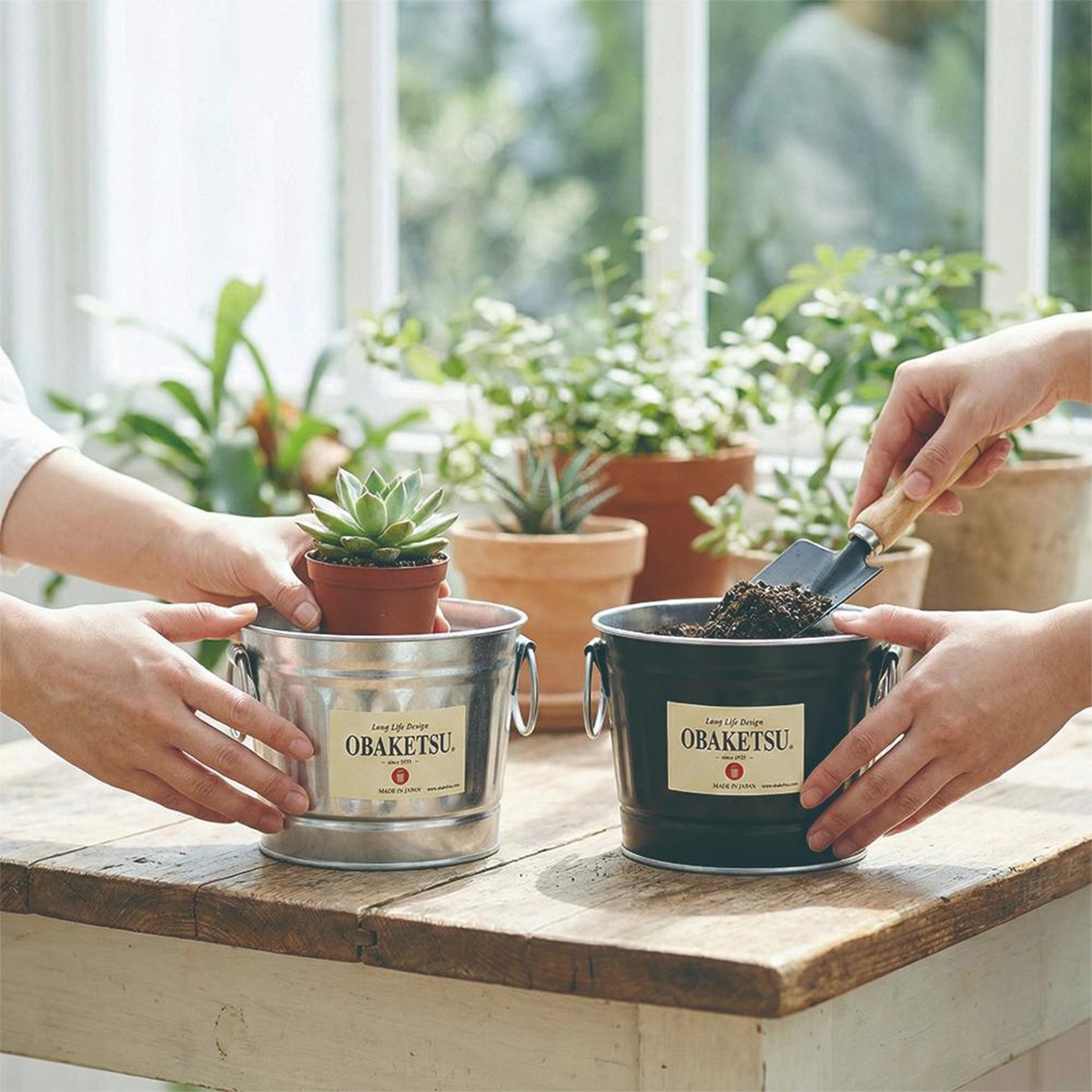 OBAKETSU 手工製多功能迷你桶，用於種植多肉植物，分別為銀色和黑色。