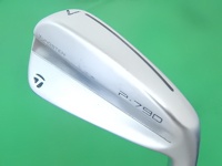 P790 2023 7I 單號鐵 (桿身 N.S.PRO 950GHneo(JP) 1S)