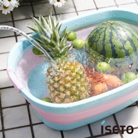 一個粉藍色與粉紅色相間的伸縮浴盆，盆中裝有水，清洗著一顆鳳梨、一顆西瓜、幾顆綠色小果實和胡蘿蔔。