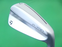 P790 2023 7I 單號鐵 (桿身 N.S.PRO 950GHneo(JP) 1S)