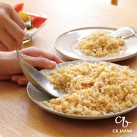 CB JAPAN 日本製不鏽鋼瀝湯勺正在舀取炒飯，旁邊還有另一盤炒飯和一份沙拉