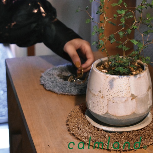 一個裝有綠色植物的陶瓷盆栽，放置在圓形棕色編織墊上。盆栽為米白色，帶有自然紋理和斑點，底部有配套的淺盤。旁邊有一個灰色毛絨墊，上面放著金色的戒指。