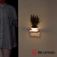 LED 電池式造型感應燈 BSL-BMSP 兩入組 (機能壁掛款)