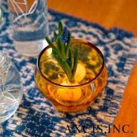 琥珀色圓潤玻璃杯，盛裝著水仙球莖和初生的藍色花苞，杯身帶有復古質感。