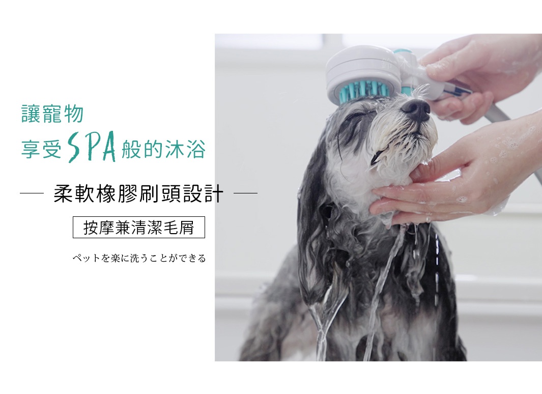 寵物洗澡蓮蓬頭，白色主體搭配藍色矽膠刷毛，用於寵物按摩與清潔。