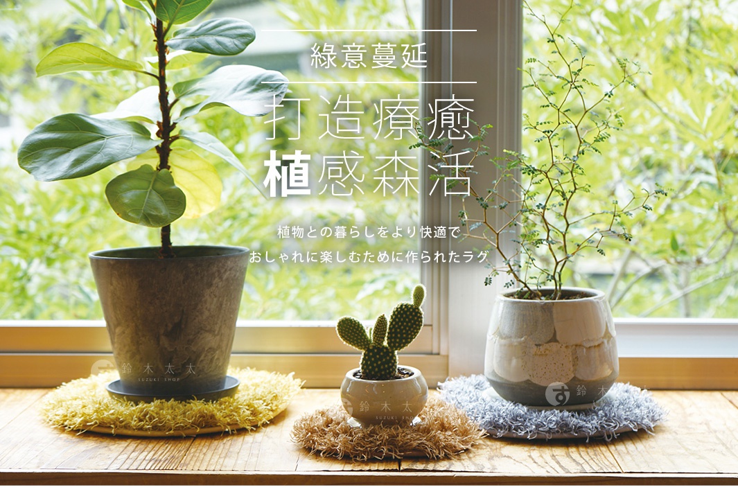 三款質感植物盆栽墊，分別為黃色、棕色及灰色，材質為毛絨絨的絨線，呈現蓬鬆的圓形，用於墊在盆栽下方。