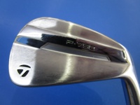 P790 2025 長鐵/混血桿/小雞腿 (桿身 Dynamic Gold MID 115)