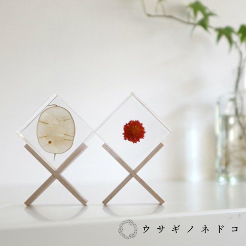兩個透明立方體置物架，中間分別封存著一片乾枯的圓形植物和一朵紅色小花，由兩支淺木色木棍交叉支撐，擺放在白色平面上。