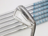 TOUR WORLD TW737Vs 鐵桿組 (桿身 特注 NSPRO850GH)