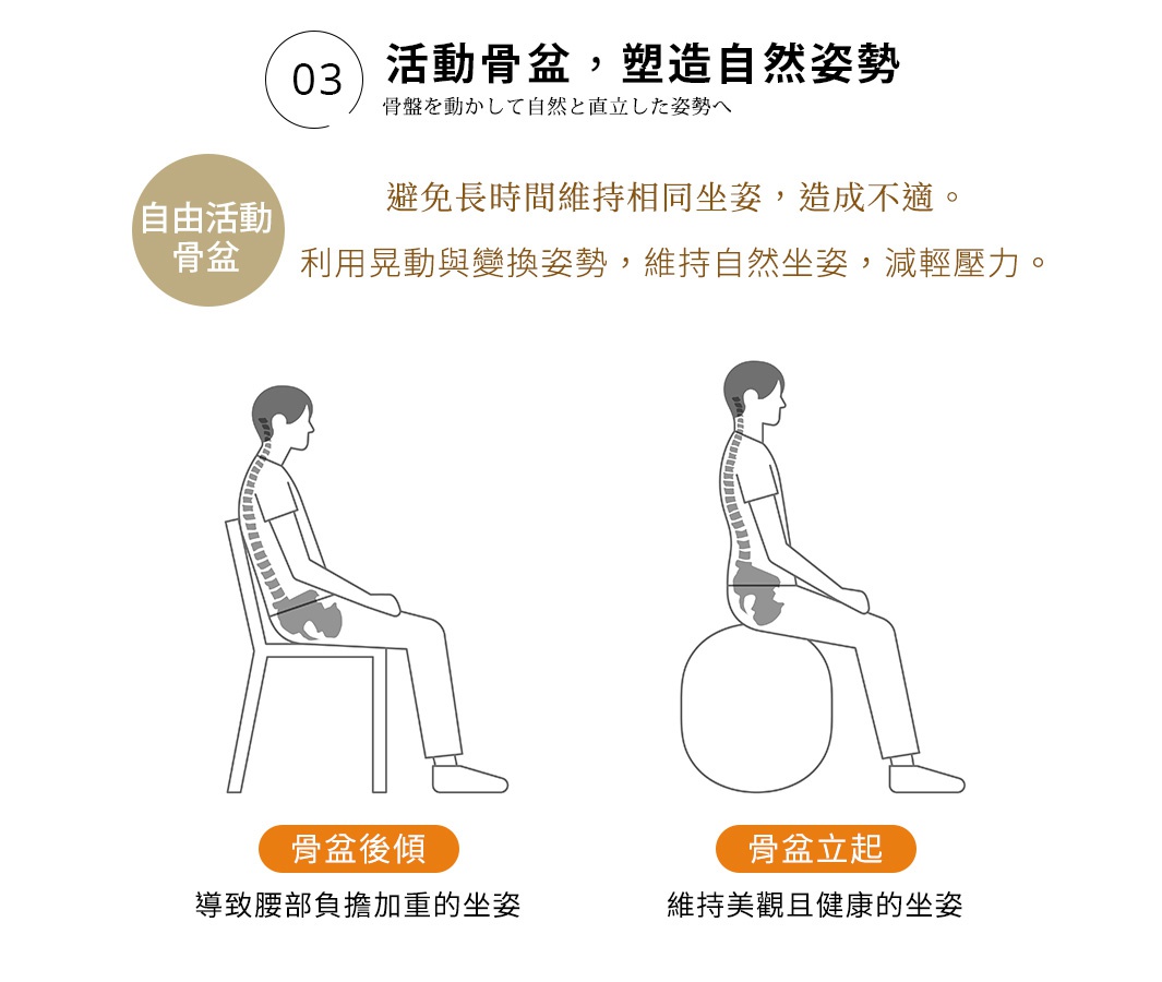 03 活動骨盆，塑造自然姿勢
骨盤を動かして自然と直立した姿勢へ
自由活動骨盆：避免長時間維持相同坐姿，造成不適。
利用晃動與變換姿勢，維持自然坐姿，減輕壓力。

左圖：骨盆後傾，導致腰部負擔加重的坐姿
右圖：骨盆立起，維持美觀且健康的坐姿
