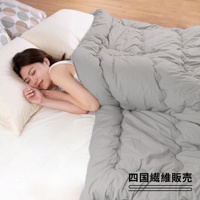 雙人可水洗好眠四季被 (中棉0.8kg)