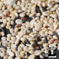 日本國產十六穀米特寫，包含多種米類、穀物，如糙米、大麥、小米等，顏色有米白、淺褐、深褐、黑色、紅色、黃色等，質地乾燥。