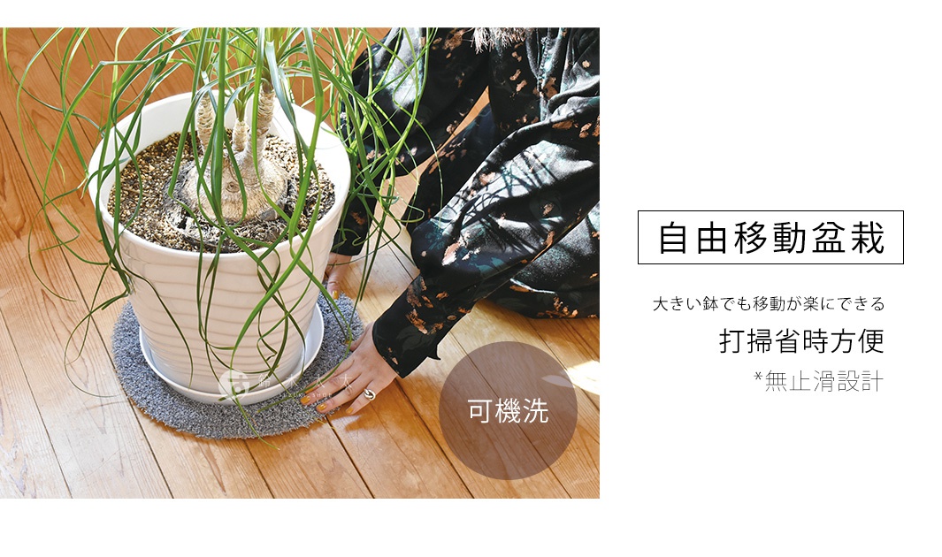 灰色圓形植栽墊，材質為絨毛，下方有白色塑膠接水盤，墊在木質地板上，上方放置有白色盆栽的植物。