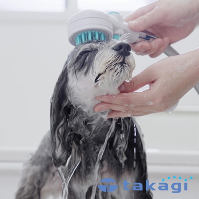 takagi 寵物美容洗澡SPA專用蓮蓬頭 JSB027GY