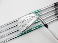 ELYTE 鐵桿組 (桿身 NSPRO750GHneo(JP) 5S)