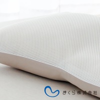 一個低矮的白色網狀枕頭，側面有米色布料包邊，枕頭頂部有細密的網狀紋理，提供透氣性。