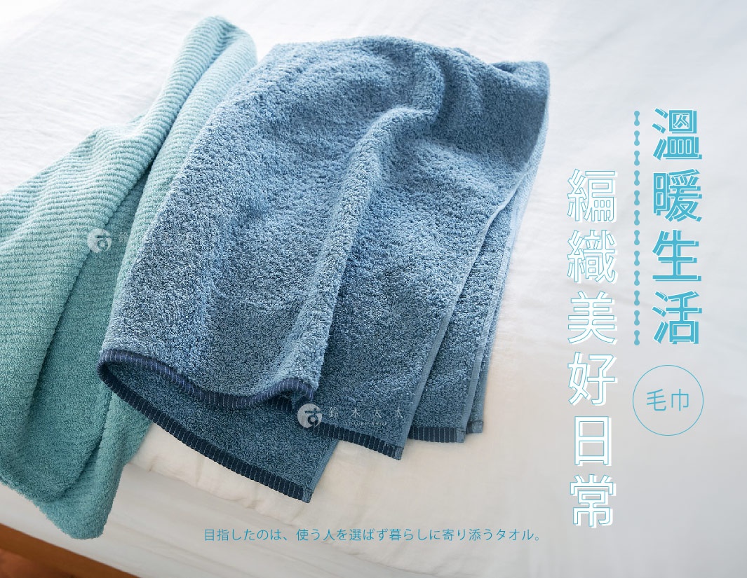 兩條 SOLID 細柔蓬韌緞澤長纖毛巾，一條為淺藍色，另一條為藍綠色，皆為柔軟親膚的長纖材質，呈現蓬鬆的質感。