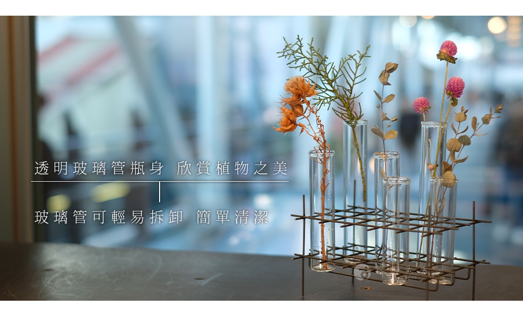 金屬網架上的透明玻璃花器，內含多根不同高度的玻璃管，插有乾燥花束與綠葉。