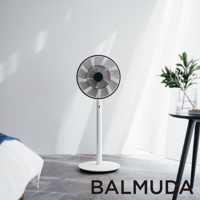 The GreenFan 風扇，白色直立式設計，黑色扇網，簡約現代，擺放於室內空間。