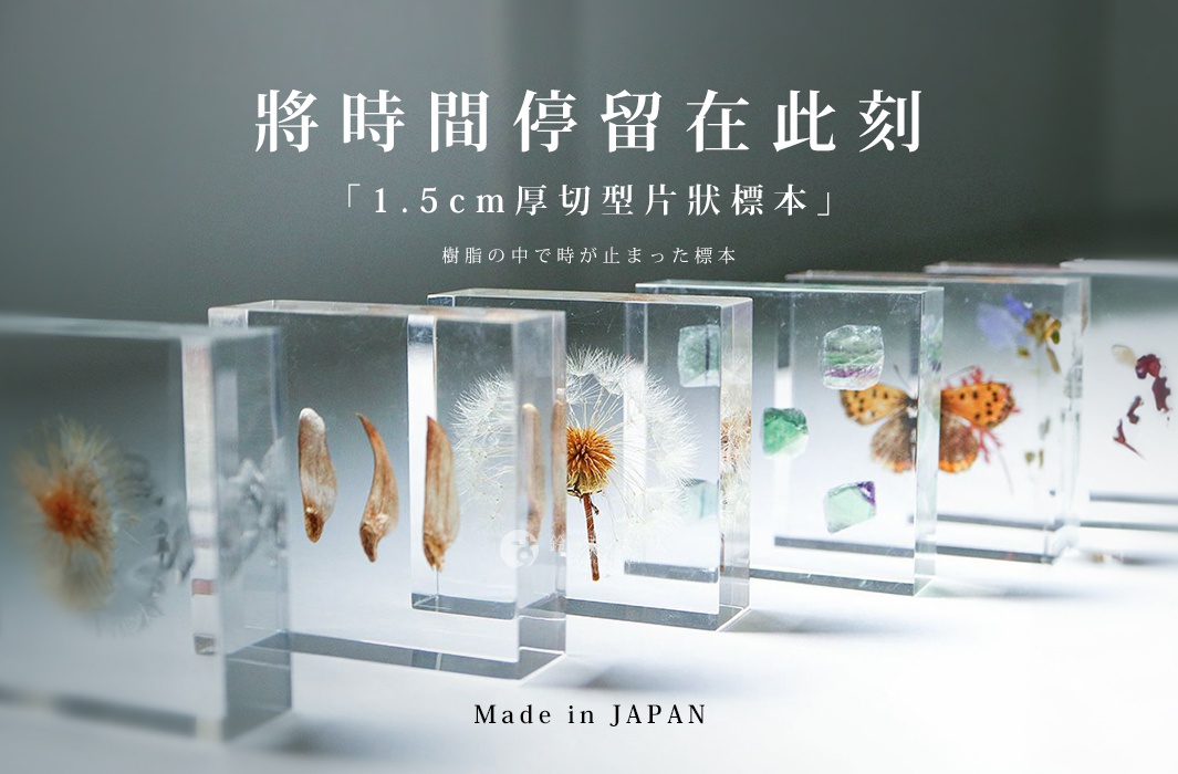 透明樹脂塊中封存著蒲公英、種子、蝴蝶和花朵等標本，部分樹脂塊內含綠色、紫色和藍色的螢石晶體。