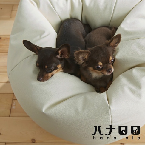 淺米色皮革材質的懶骨頭沙發，造型如同洋蔥，內部有兩隻棕色短毛臘腸犬，下方有「八十田」與「hanalolo」字樣。