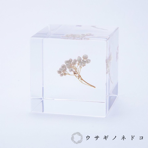 透明立方體壓克力塊中封存著一株乾燥的米香花，花朵呈現淺米白色，細緻的枝幹為褐色。