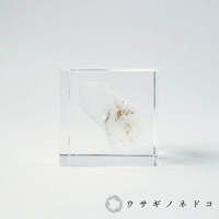 透明壓克力立方塊中封存著一塊天然水晶，水晶呈現半透明的白色，帶有部分雜質和細小的晶體結構。