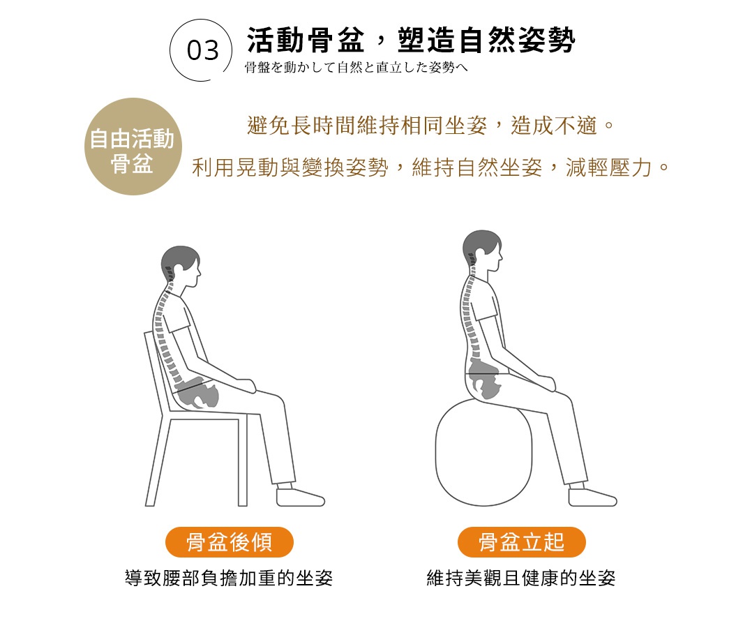 03 活動骨盆，塑造自然姿勢
骨盤を動かして自然と直立した姿勢へ
自由活動骨盆：避免長時間維持相同坐姿，造成不適。
利用晃動與變換姿勢，維持自然坐姿，減輕壓力。

左圖：骨盆後傾，導致腰部負擔加重的坐姿
右圖：骨盆立起，維持美觀且健康的坐姿
