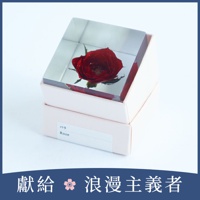 Sola cube 玫瑰立方塊 (花言葉：熱情、美麗)