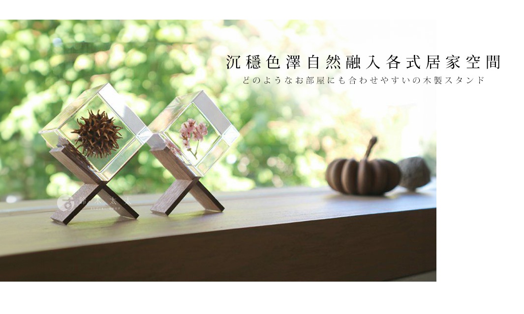 兩個透明立方塊置物架，分別內含一顆刺球和粉色小花，以木質支架立於木製檯面上，背景為模糊的綠色樹葉。