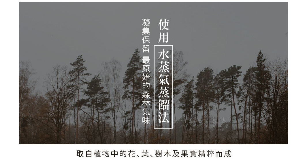 背景為陰天下的森林景觀，畫面中央有白色文字「使用水蒸氣蒸餾法 凝集保留最原始的森林氣味」，下方有文字「取自植物中的花、葉、樹木及果實粹而成」。