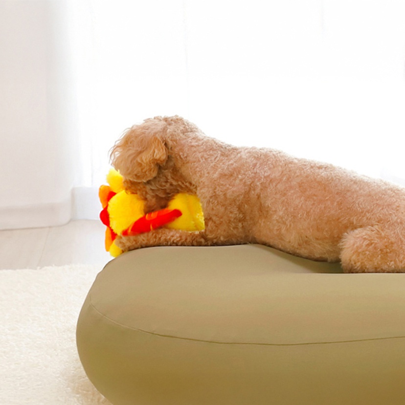 王樣の寵物夢枕 M