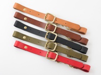 職人手作皮革背包用胸前扣帶，共五色：淺棕、深棕、黑色、軍綠、紅色。皆為皮革材質，配有金色金屬扣環與調節孔。