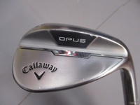 OPUS Chrome 56-14W 挖起桿 (桿身 DG(JP))