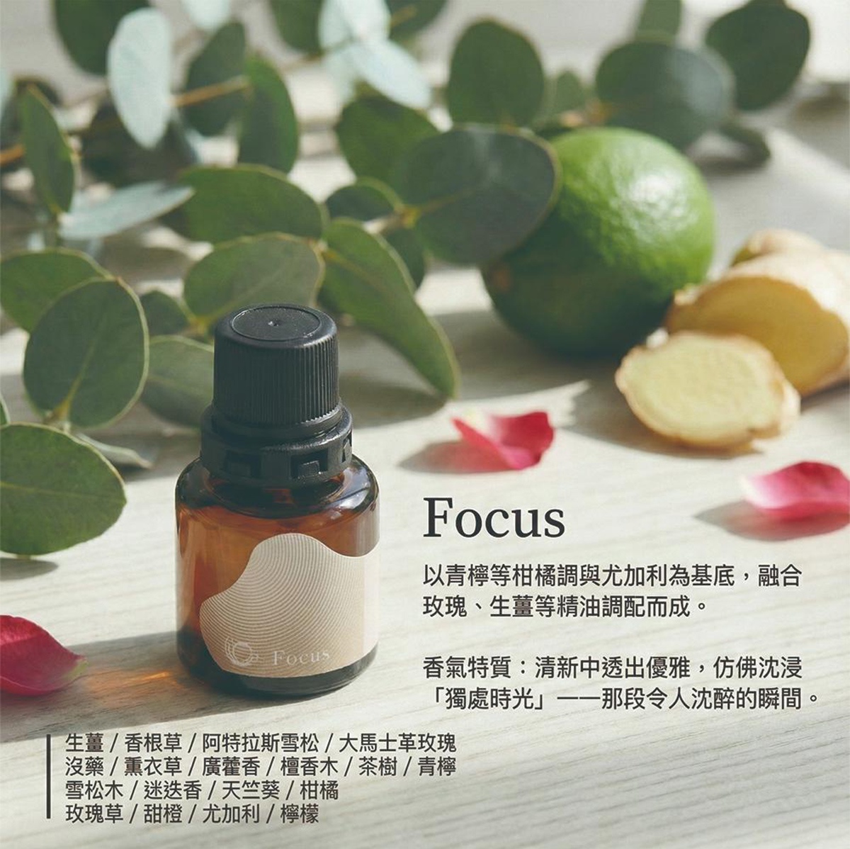 模式B： Focus香氛精油，以柑橘、尤加利為基底，融合玫瑰、生薑等香氣，瓶中精油琥珀色，背景有尤加利葉、檸檬、薑片與粉色花瓣。