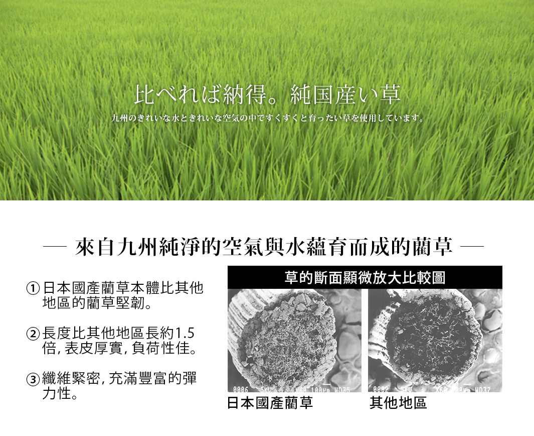 藺草榻榻米廚房地墊，43x180公分，天然草綠色，材質為藺草。圖片下方展示日本國產藺草與其他地區藺草的顯微對比圖，強調其纖維緊密、表皮厚實、彈性佳的特點。