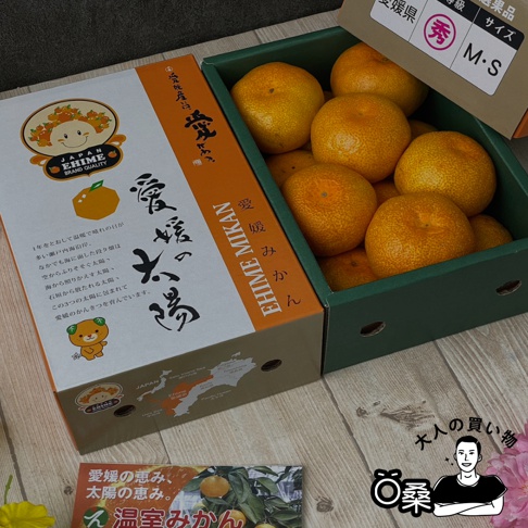 愛媛蜜柑禮盒-1.jpg