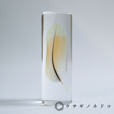 透明圓柱體內封存一支桃面牡丹鸚鵡羽毛，羽毛呈現綠色與橘黃色漸層，帶有黑色羽軸。