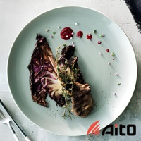 CouLeur 美濃燒簡約素雅質感圓餐盤 L