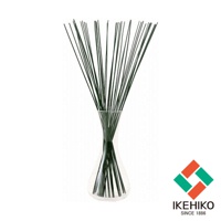 一束綠色天然藺草，置於透明玻璃花瓶中，藺草長度約30公分，頂端散開，底部密集，品牌標誌位於右下角。