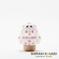 白色紙質達摩不倒翁迷你提燈，燈身印有粉紅色櫻花圖案與金色放射狀紋飾，臉部有可愛的黑色眼睛、紅色嘴唇和粉紅色臉頰，底部為木質座。