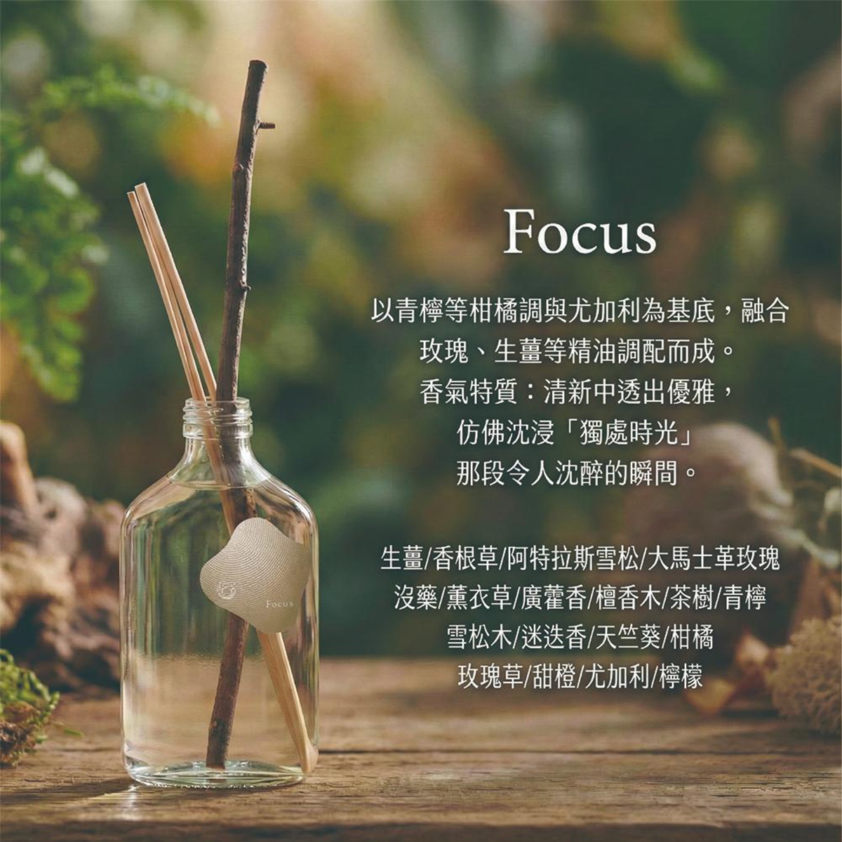 KYARA aroma recolte diffuser 室內擴香竹 FOCUS款，以青檸等柑橘調與尤加利為基底，融合玫瑰、生薑等精油調配而成，香氣清新中透出優雅，宛如沉浸獨處時光，那令人沈醉的瞬間。
