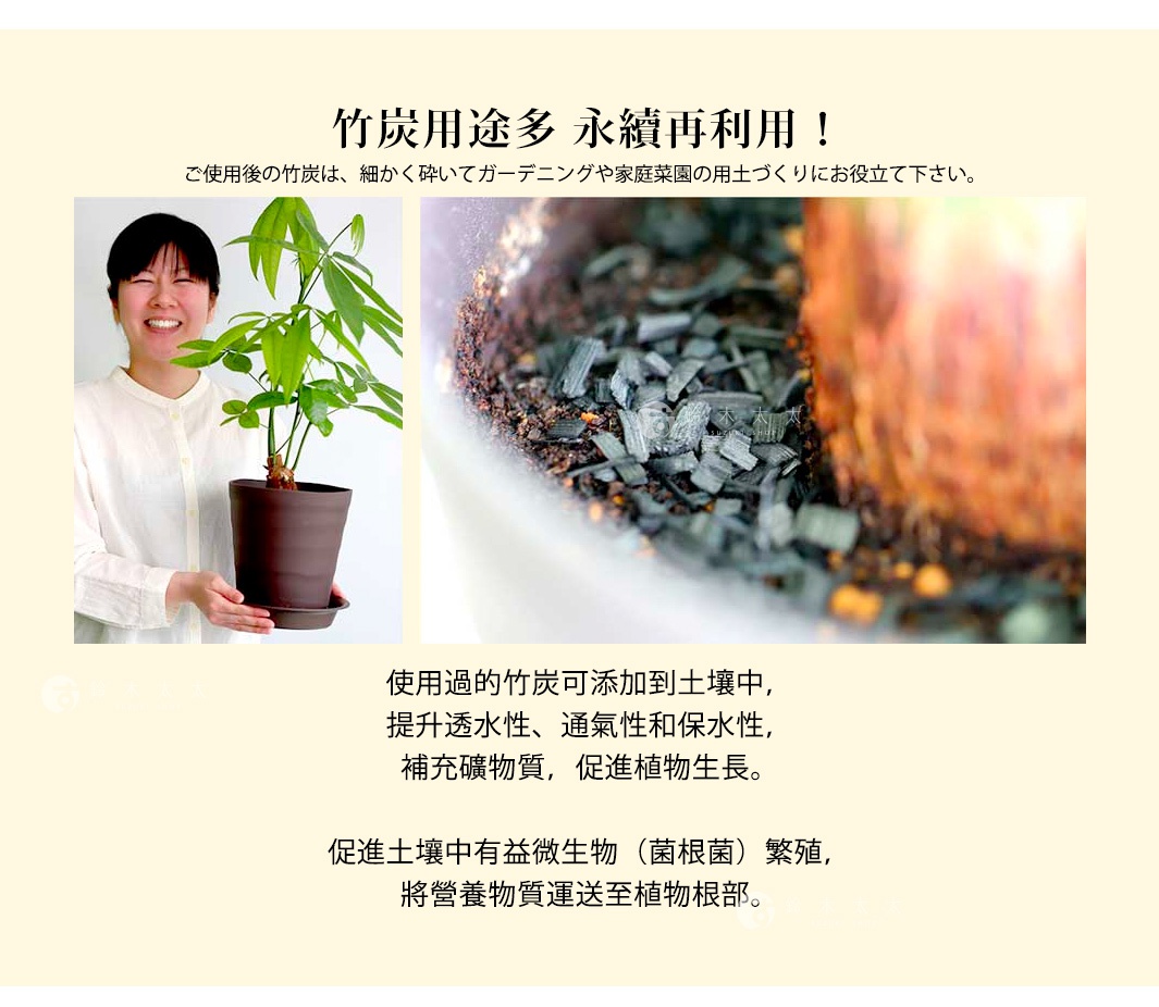 左圖為一位女子手持深棕色花盆，盆中栽有綠葉植物。右圖為特寫，展示盆栽土壤表面鋪滿黑色碎竹炭。