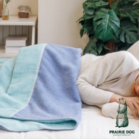 今治純棉雙股紗單人毯，採用翻轉色彩設計，一側為柔和的淺藍色，另一側為清爽的淺綠色，材質柔軟親膚。